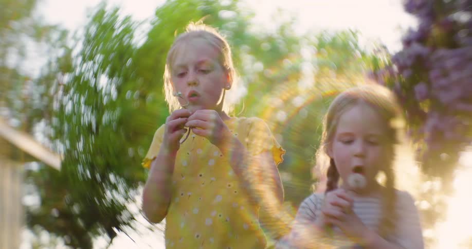 Young girls blow off petals on Dandelions