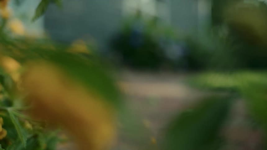 Person picking a yellow flower with green leaves in a garden