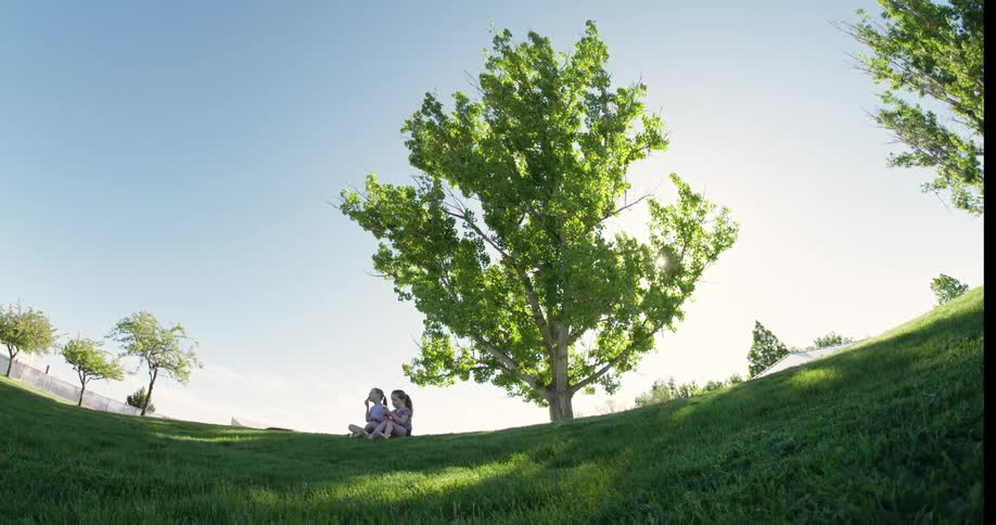 Two young female friends sit under a tree on a grassy slope on a sunny summer day