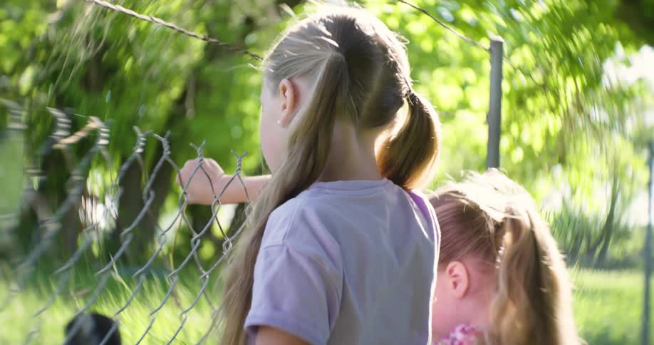 Two girls seen from behind look through a wire fence with green foliage in the background