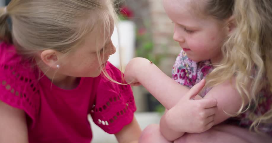 Two children examine a ladybug