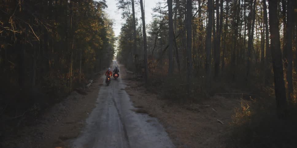 Motorcyclists ride through a forest