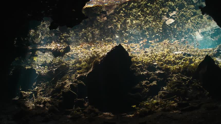 Sunlight streaming through the entrance of an underwater cave highlighting the flora