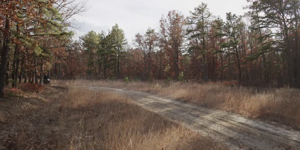 Dirt bikes travel on a dirt road in the forest
