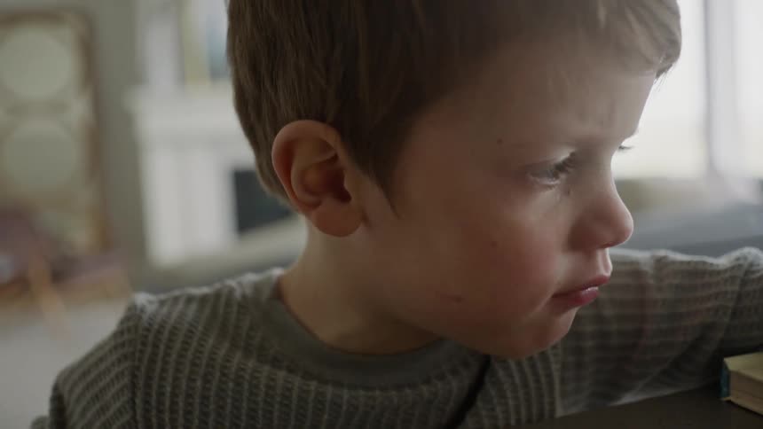 Portrait of a little boy