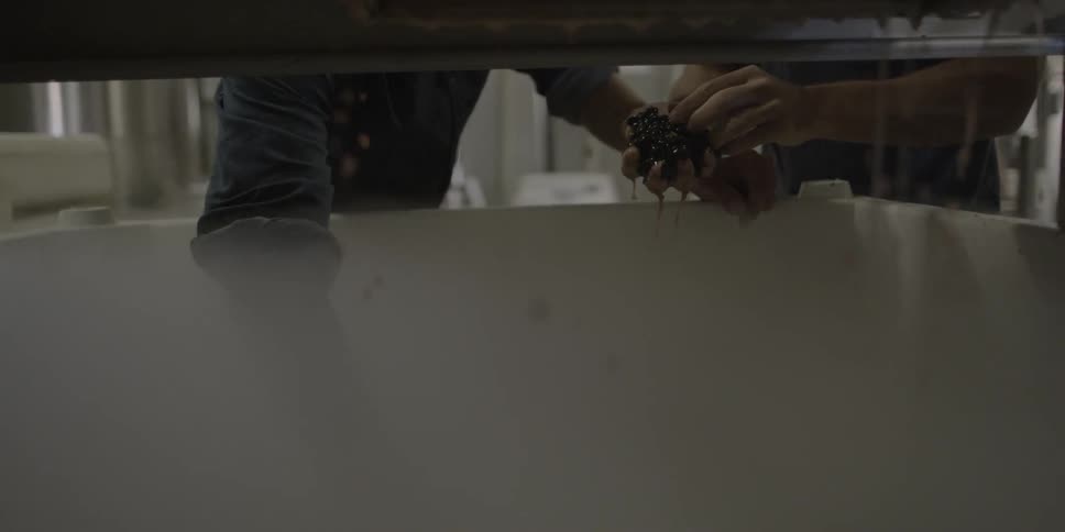 People pick through beans in a vat