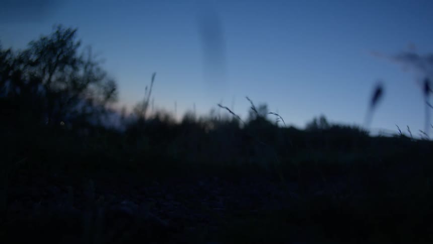 Silhouette of a person with a flashlight on his head running in a natural environment at sunrise
