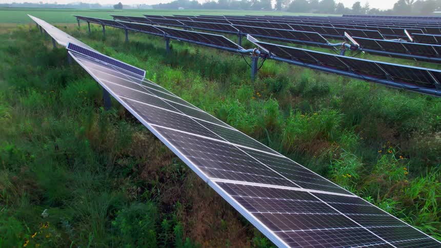 Solar panels in front of trees in the distance