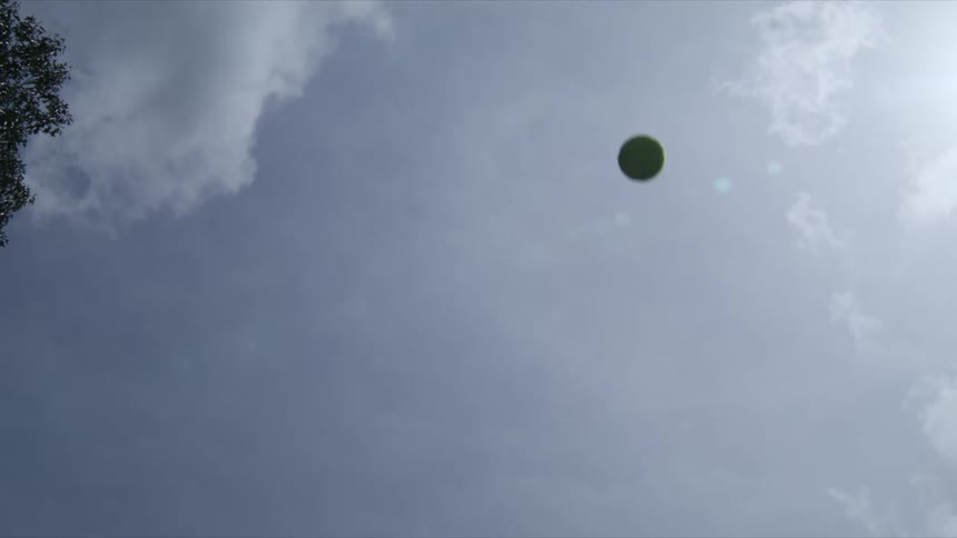 A ball is tossed into the air and then falls back down