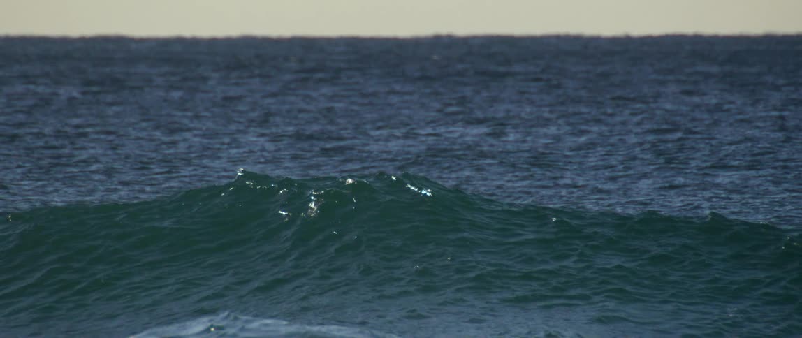 Wave forming in the ocean
