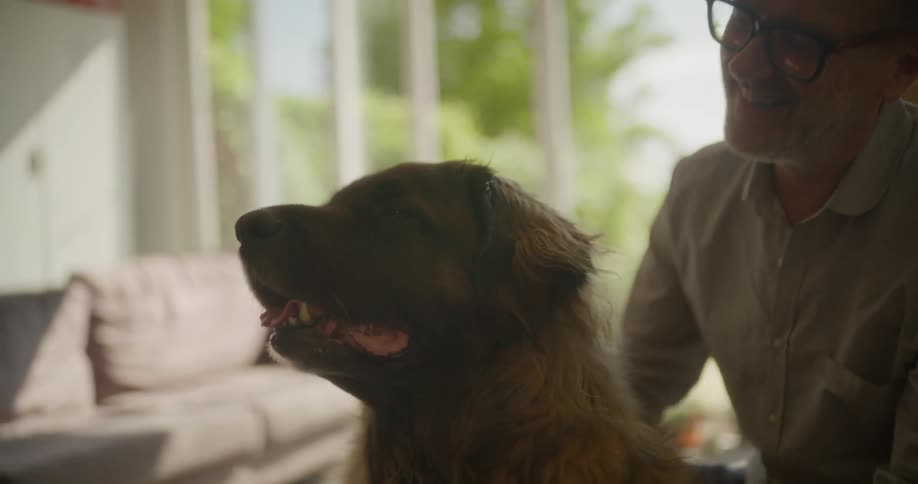 A man gently petting a large dog as they relax together