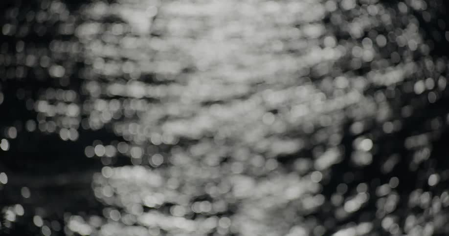 A water surface that is reflecting sunlight