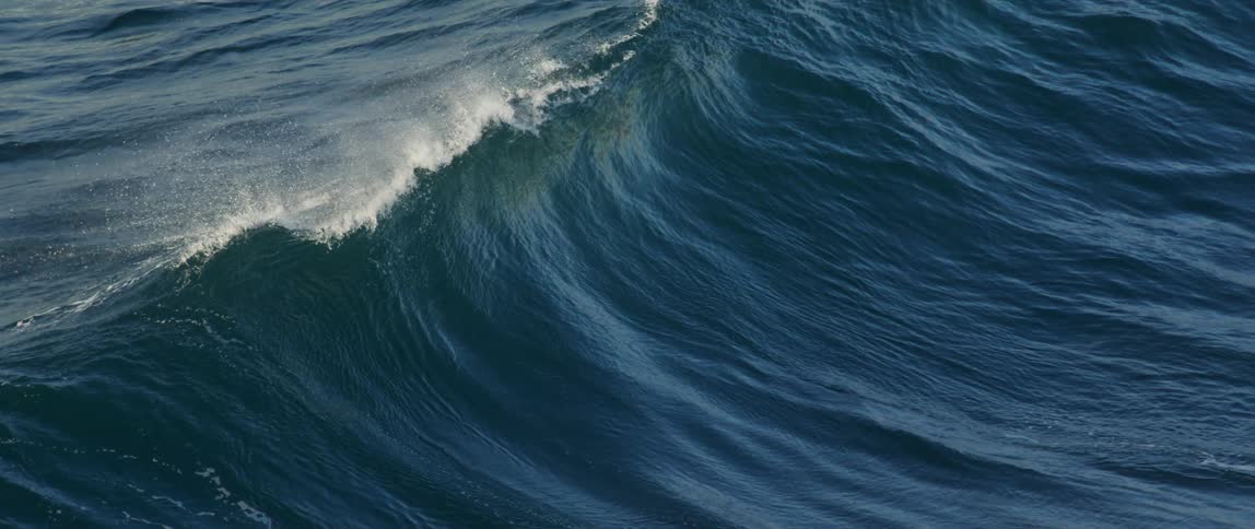 Ocean wave in formation