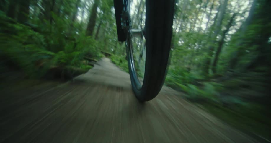 Wheel of a mountain bike traversing various terrain on a trail