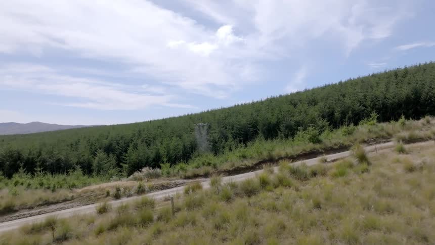 The camera glides over a field towards a forest