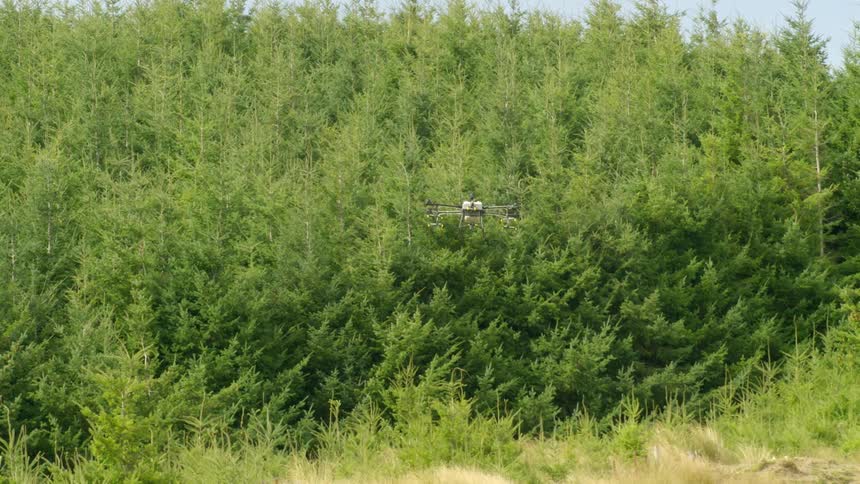 A drone sprays the weeds at the front of a forest