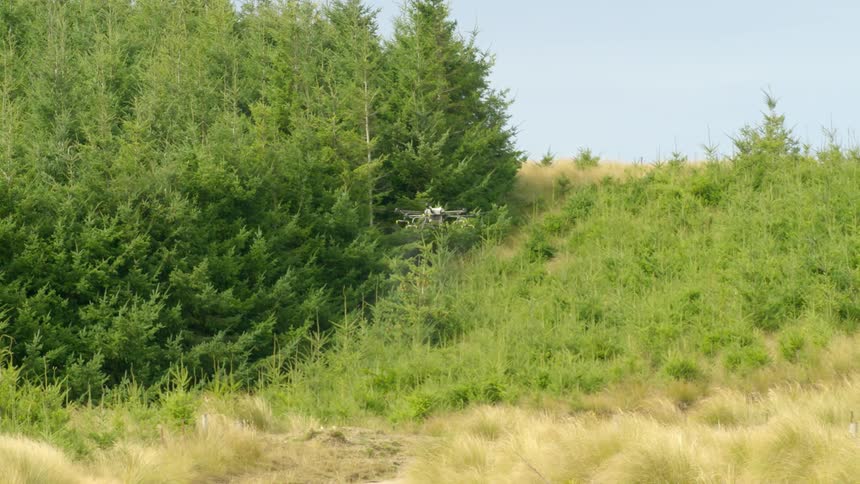 A spray drone works along the edge of a forest plantation