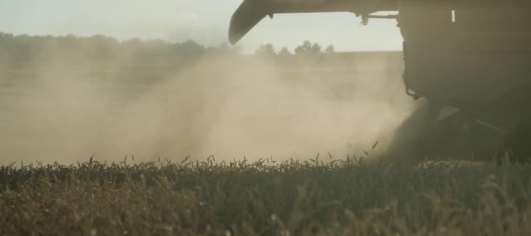 A closeup view of a combine harvester working in a field expelling dust and crop debris from its rear