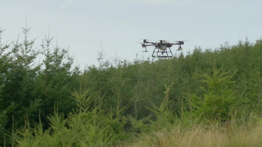 Drone flying over a vegetation area and applying products