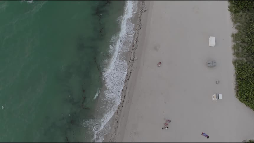 Aerial view of birds flying above a beach with a long stretch of sand