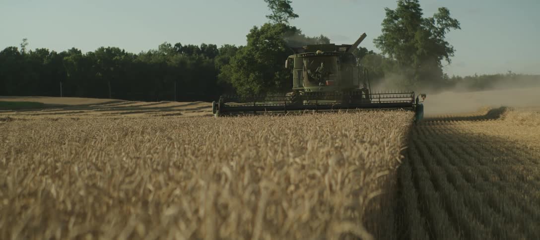 Machine harvesting wheat in a field