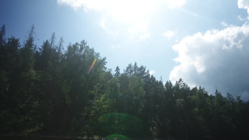 A river running beside a forest