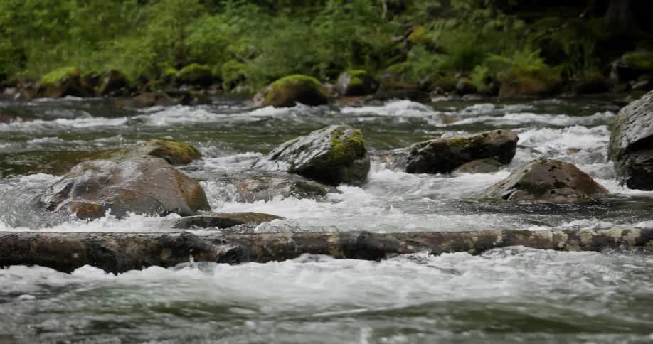 River flowing among rocks with vegetation around