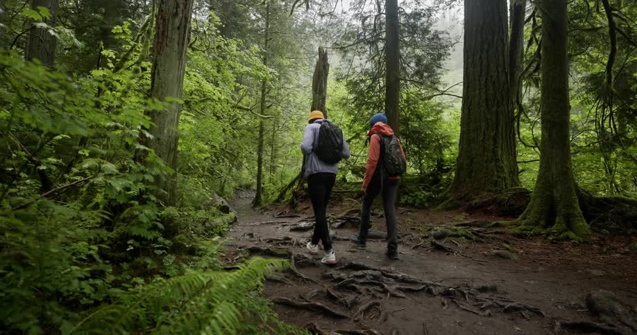 Two people with backpacks walking along a trail in the forest