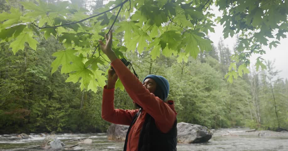 A man photographs a leaf by a rushing river in the forest
