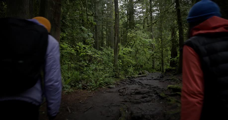 Two people walking along a trail in a dense forest