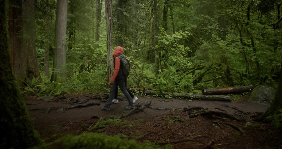 Two black men hike through a dense forest
