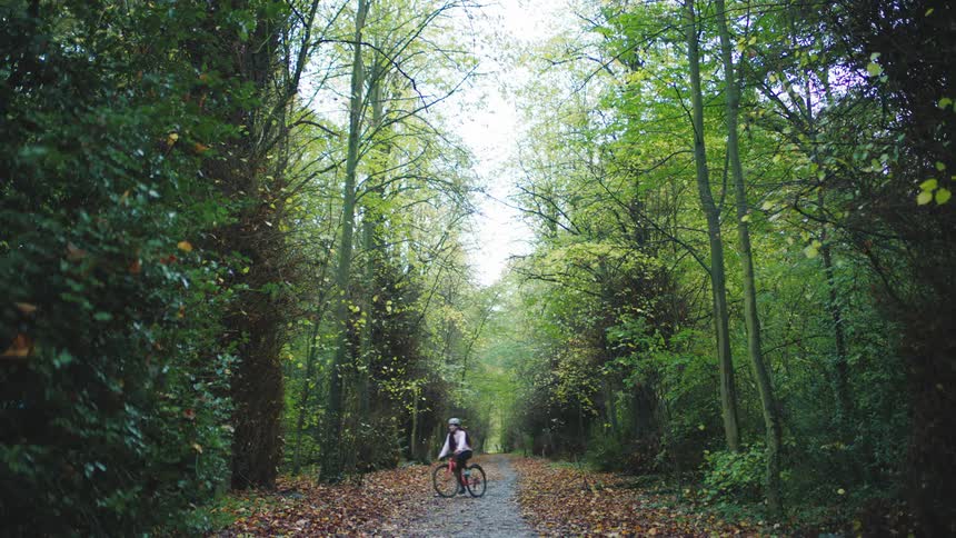A person rides a bicycle crossing across a trail in the forest