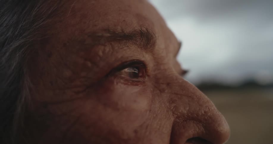 Close up of the eyes and wrinkled face of an elderly woman against a blurred outdoors background
