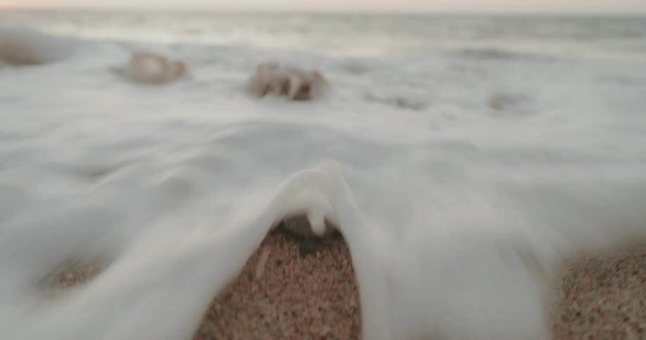 Baby sea turtle crawling towards the ocean as the tide comes in