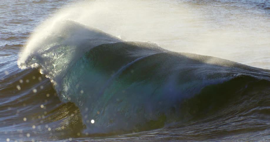 Wave rises in the ocean with sunlight filtering through it and breaks powerfully