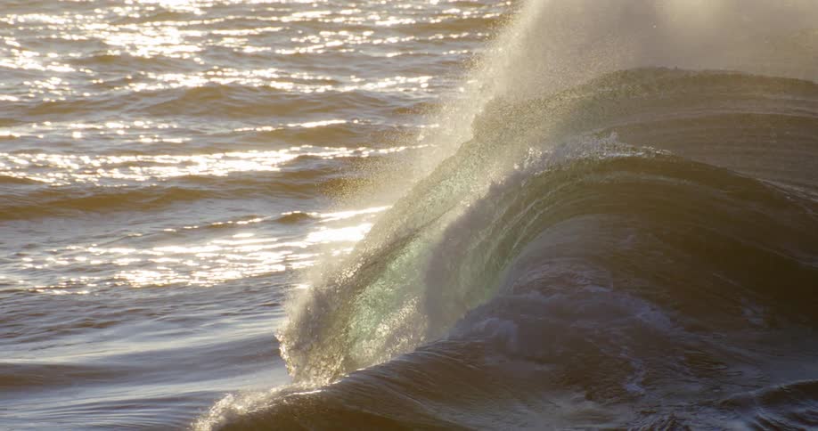 Wave in the ocean with sunlight filtering through the moving water