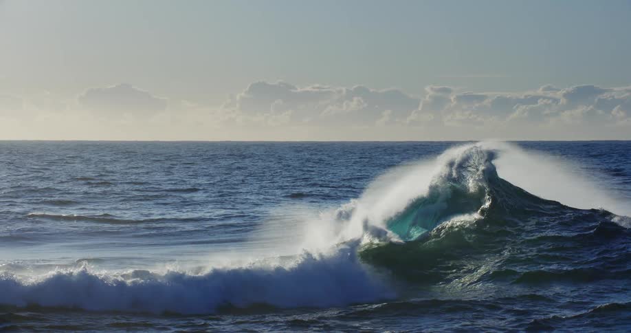 Waves move along the ocean