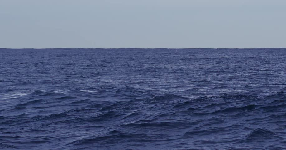 The ocean water are rough during the day
