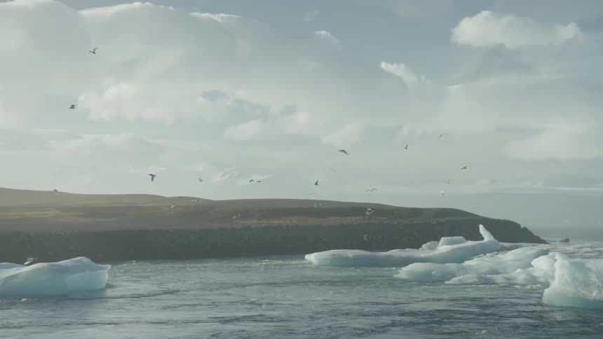 An ocean with some pieces of ice floating on the surface and several birds flying over it