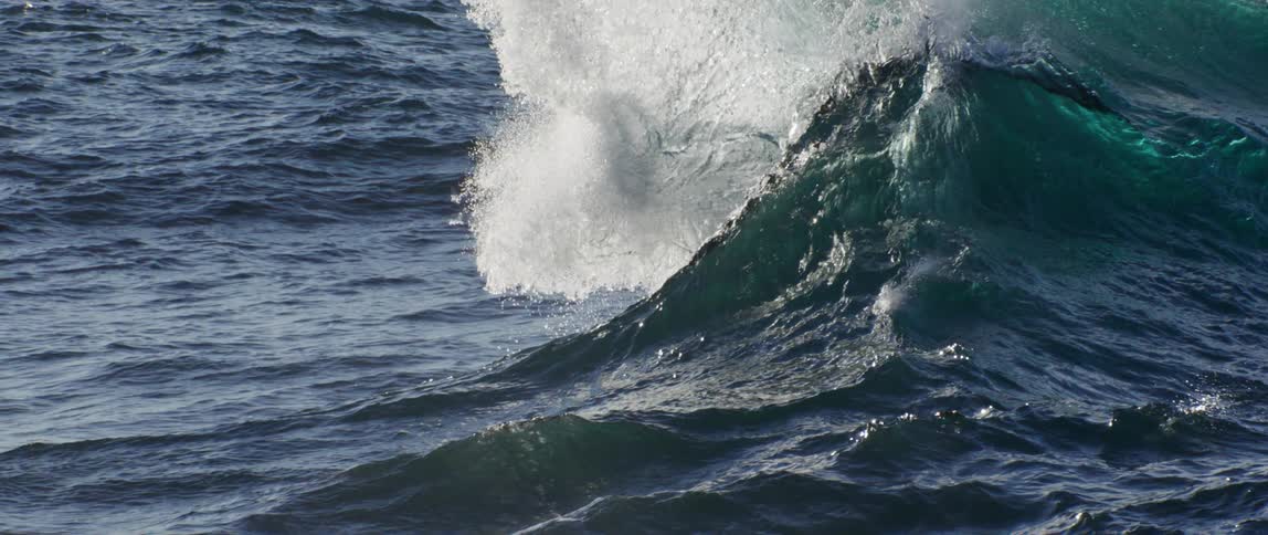 A large wave crashes on a sunny day