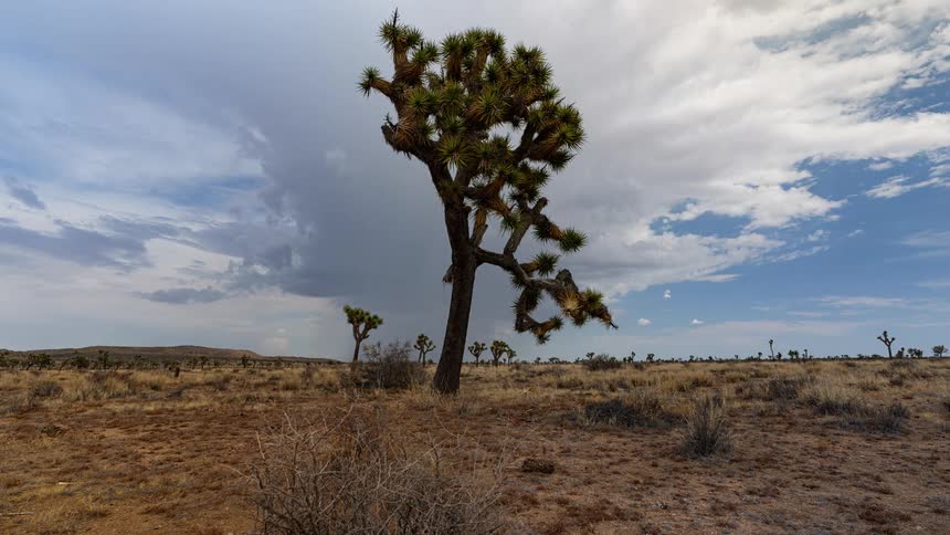 The clouds flow over the savanna