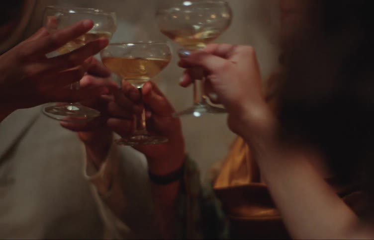 A group of friends toast with champagne on a party at night