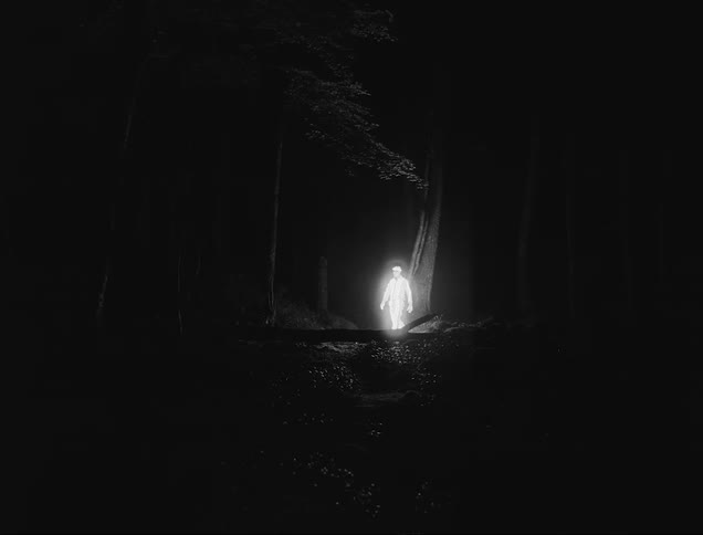 A man who glows like a ghost walks though a forest at night