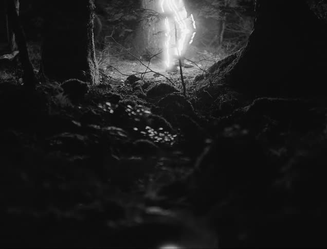 A man is walking through the woods with lights on his clothes