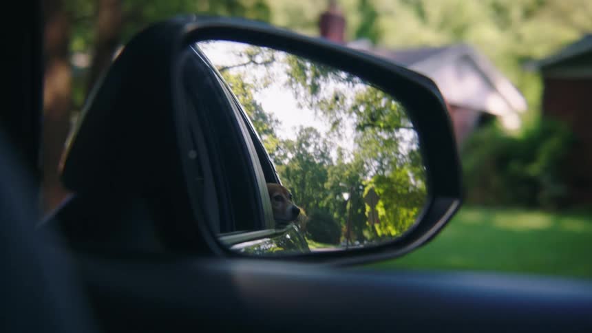 A view from the rear view mirror of a moving car where there is a dog with its face out of the window
