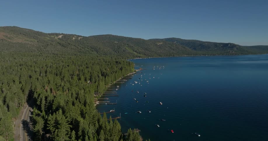 The shore between forest and water