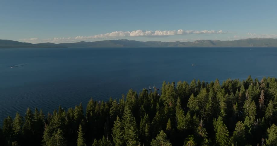 An ocean and some trees in the foreground