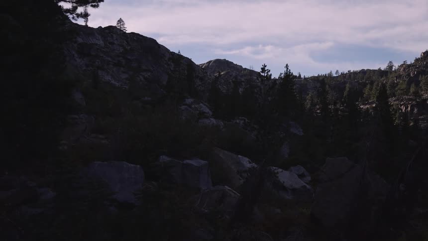 Trees mix with the mountains