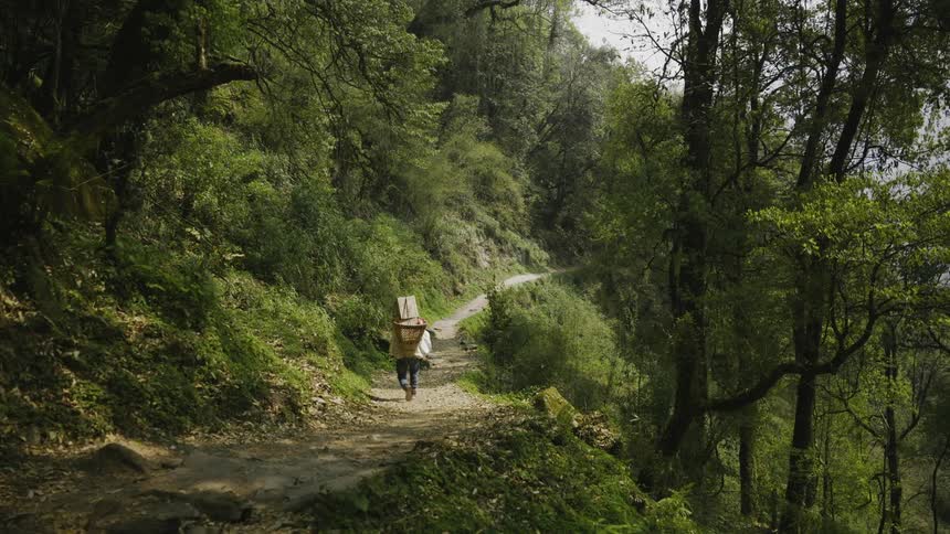 A person walks along a trail