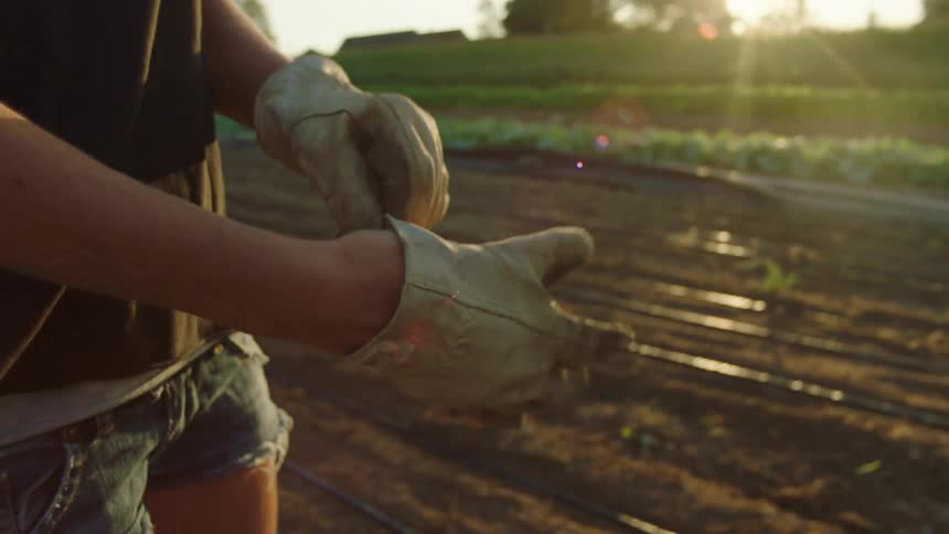A person puts on work gloves